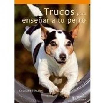 Trucos para enseñar a tu perro