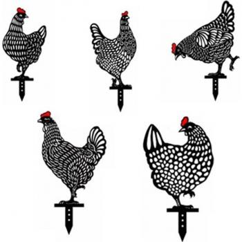 Piquet Coq Transparence