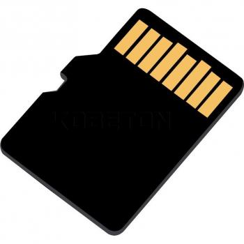 Kebidumei 4GB Micro SD Card for Pad
