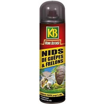Aérosol Anti-Nids de Guêpes 500 ml