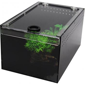 Rectangle Acrylic Feeding Box for Reptiles