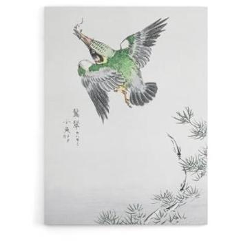 Artery8 Kingfisher & Numata Canvas Masterpiece – 24×32
