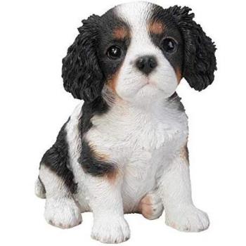 Tricolour King Charles Puppy Pet Pal