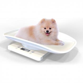 1PC Handheld Multi-Use Pet Weight Measure Tool