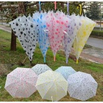 Ladies Transparent Dome Umbrella