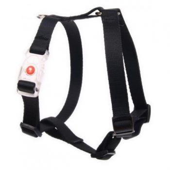 Adjustable Dog Harness Matteo