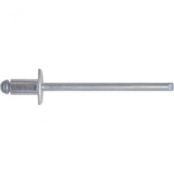 Pack de 100 Rivets Aluminium 4,8x12 mm