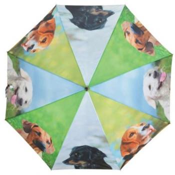 Parapluie pour Chiens Coloré
