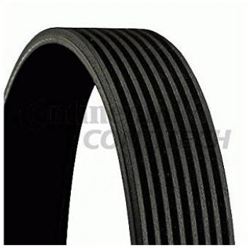 Cinghia Trapezoidale Contitech Polyv 8PK1215