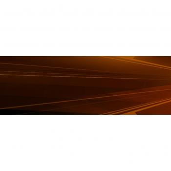 Spider-Man: Web of Shadows Limited Edition (PS3)