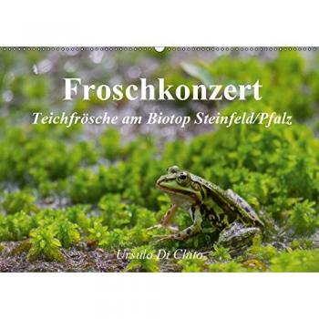 Froschkonzert