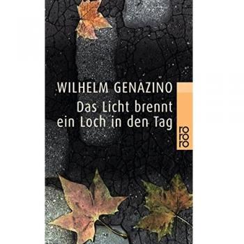 Wilhelm Genazino Das Licht Brennt Ein Loch In Den Tag
