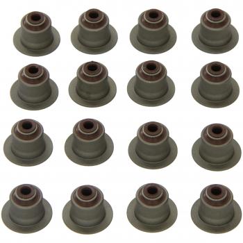 PAYEN Kit guarnizioni stelo valvola GP222.810