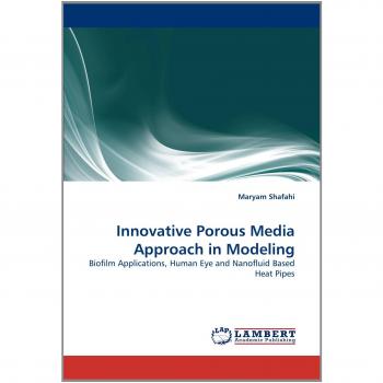 Innovative Porous Media Approach in Modeling