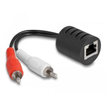 DeLOCK 87857 RCA to RJ-45 Audio Cable
