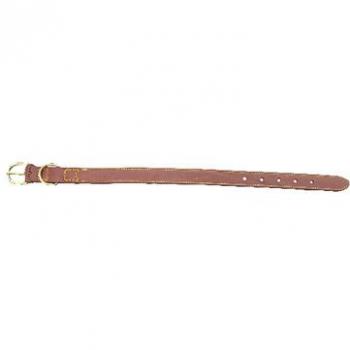 Collare resistente in nylon per cani – 30 mm, 62 cm