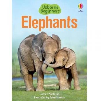 Elephants