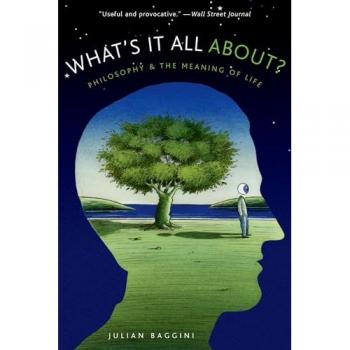 What's It All About?: Philosophy and the Meaning of Life