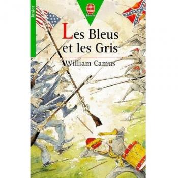 LES BLEUS ET LES GRIS