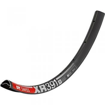 DT Swiss XR 391 Cerchio MTB 29