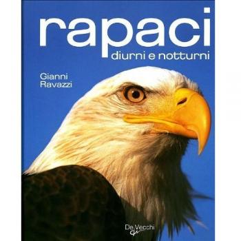 Rapaci diurni e notturni