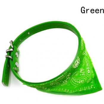 Collar Trigon