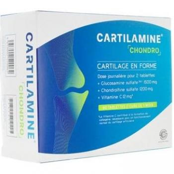60 Sachets de Cartilamine Chondro
