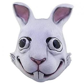 Visage Oublié du Lapin