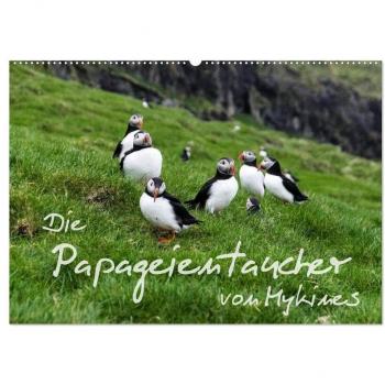 Die Papageientaucher von Mykines (Wandkalender 2024 DIN A2 quer) CALVENDO Monatskalender