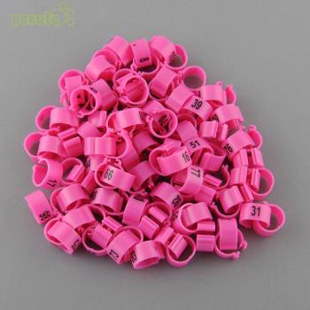 Coq violet – anneaux pour animaux – 100 pièces