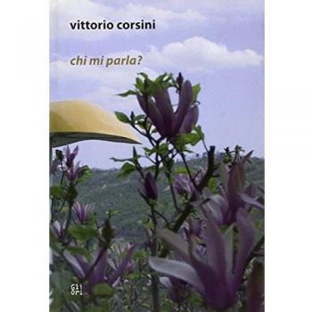 Vittorio Corsini. Chi mi parla? Ediz. italiana e inglese