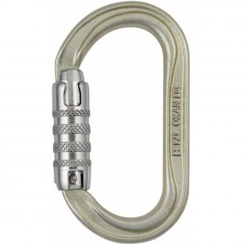 Petzl 72A SLN Black Carabiner (Screw‑Lock)