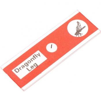 48 Pcs Prepared Microscope Slides
