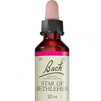Bach star of bethlehem nÂ°29 20ml