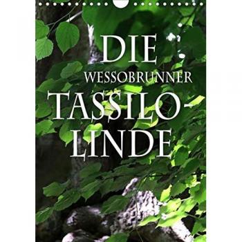 Die Wessobrunner Tassilolinde