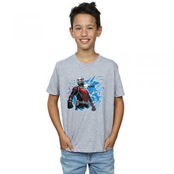 Boys’ Ant‑Man Grey T‑Shirt (Marvel BI6418)