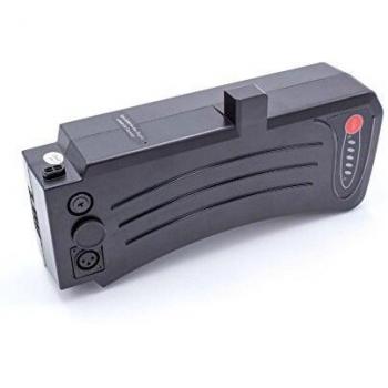 Batteria Li-Ion 10400 mAh (36V) per E-Bike Prophete 52567-0111
