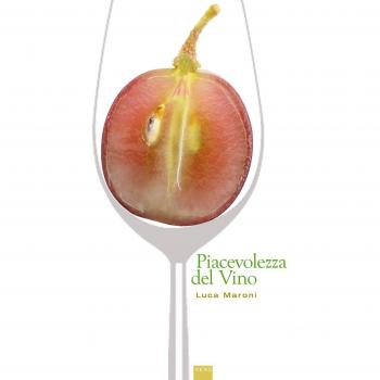 La piacevolezza del vino. Il metodo per degustare