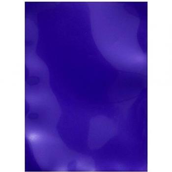 Dragon Shield 100 Sleeves