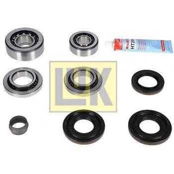 Luk Reparatursatz Differential 462 0215 10