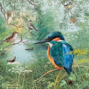 Naturreservat Otter House: Eisvogel Puzzle 1000 Stück