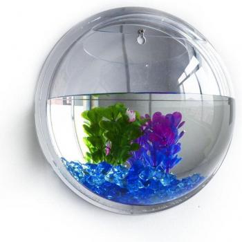 Mounted Acrylic Fish Tank
