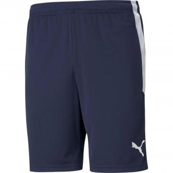 PUMA Trainingsshorts für Team Liga