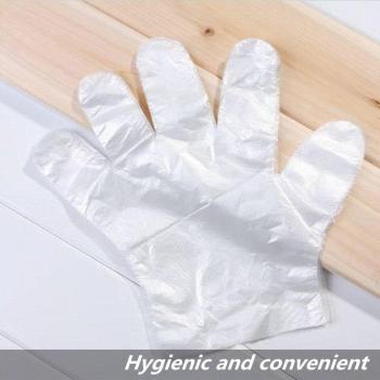 Transparent Kitchen Gloves