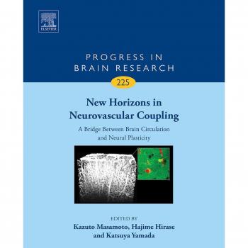 New Horizons in Neurovascular Coupling: A Bridge Between Brain Circulation and Neural Plasticity