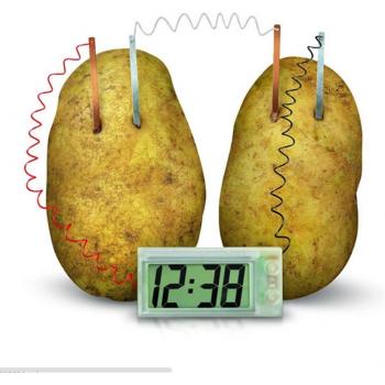 Chrono-Cellule Verte: Pack Expérimentation Pomme