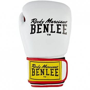 Benlee Draco Youth Boxing Gloves