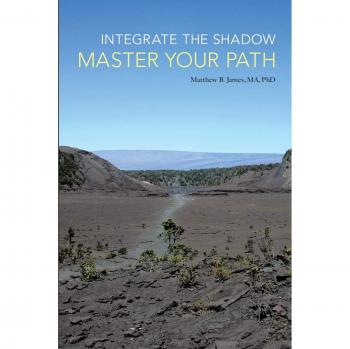 Integrate the Shadow, Master Your Path
