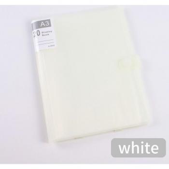 A3 Portfolio Holder