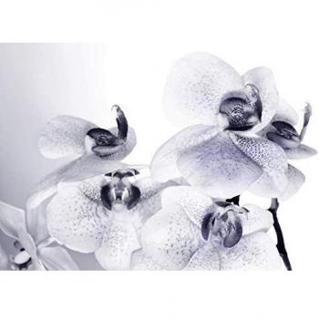 AG Design 4 Décor Muraux – Teint Noir Perle